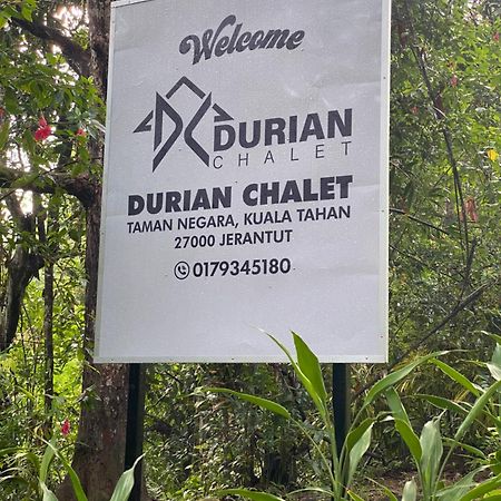 Durian Chalet Kuala Tahan Exterior photo
