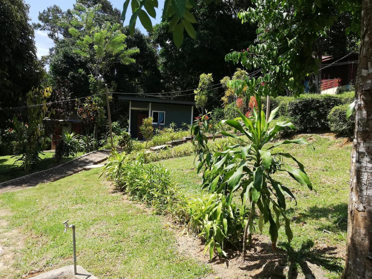 Durian Chalet Kuala Tahan Exterior photo