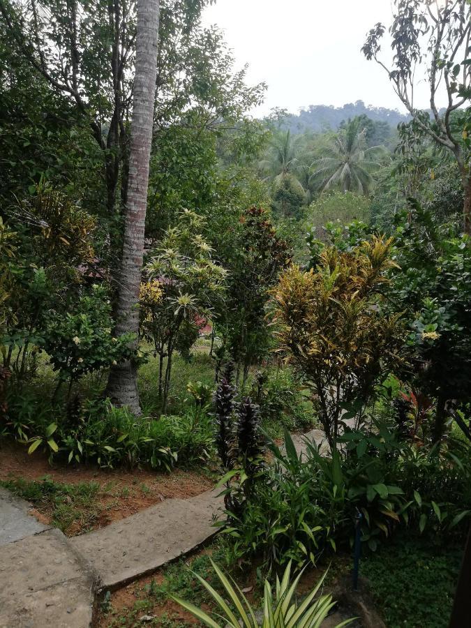 Durian Chalet Kuala Tahan Exterior photo