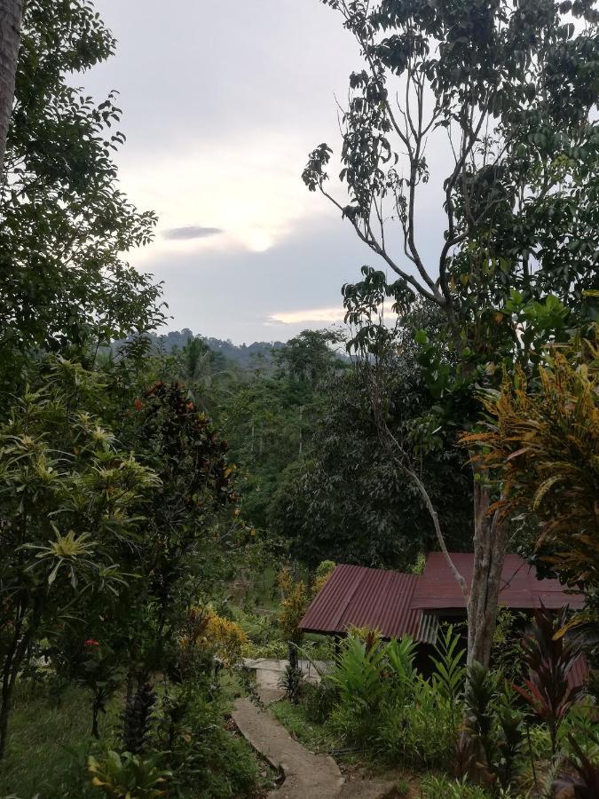 Durian Chalet Kuala Tahan Exterior photo