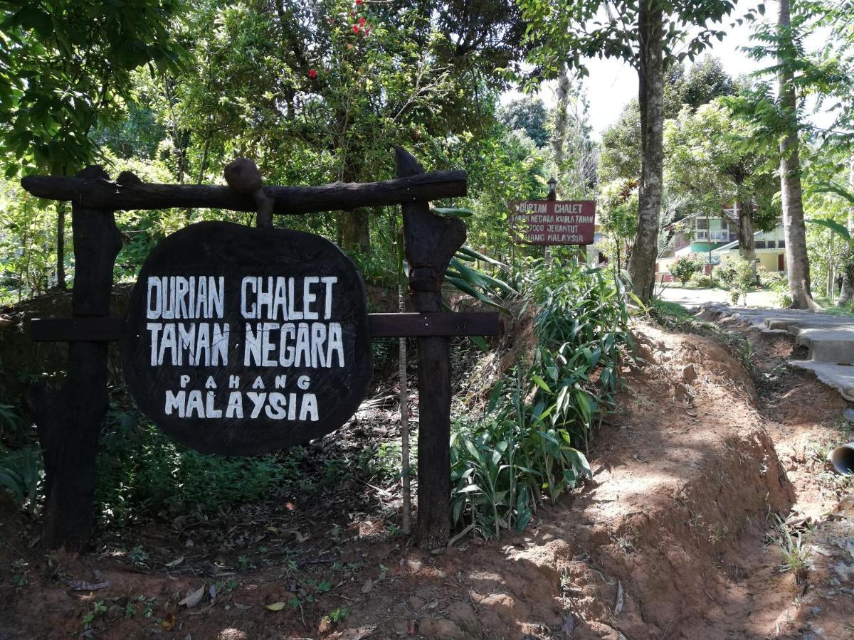 Durian Chalet Kuala Tahan Exterior photo