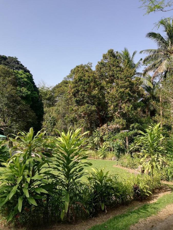 Durian Chalet Kuala Tahan Exterior photo