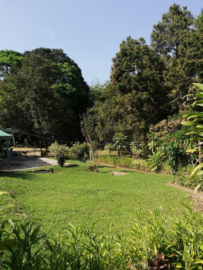 Durian Chalet Kuala Tahan Exterior photo