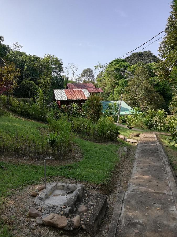 Durian Chalet Kuala Tahan Exterior photo