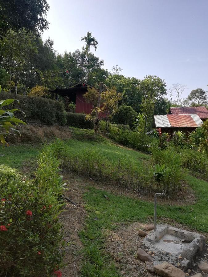 Durian Chalet Kuala Tahan Exterior photo