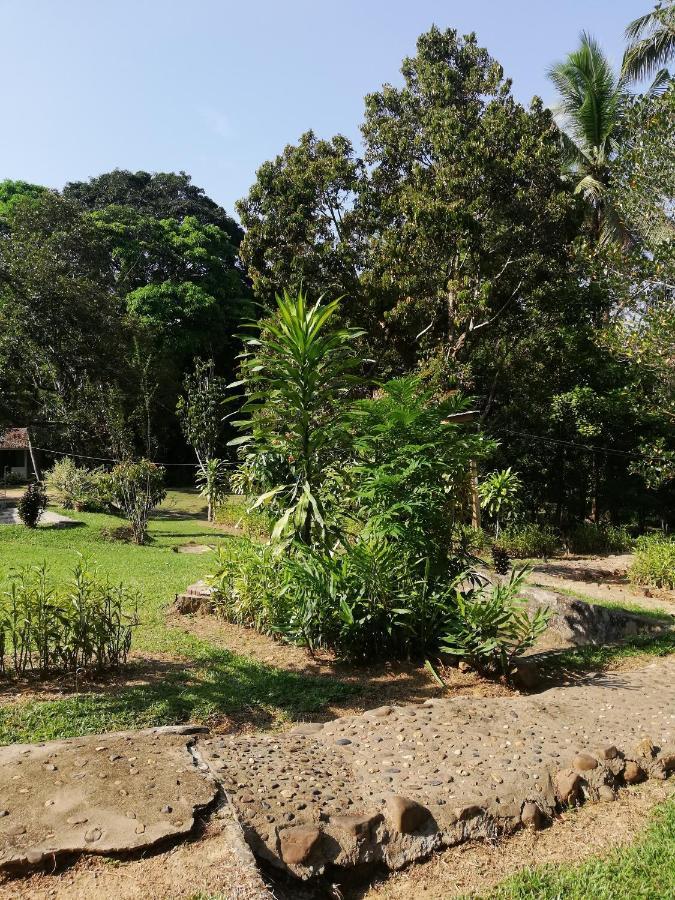 Durian Chalet Kuala Tahan Exterior photo