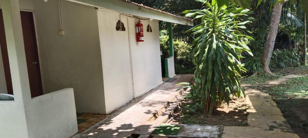 Durian Chalet Kuala Tahan Exterior photo