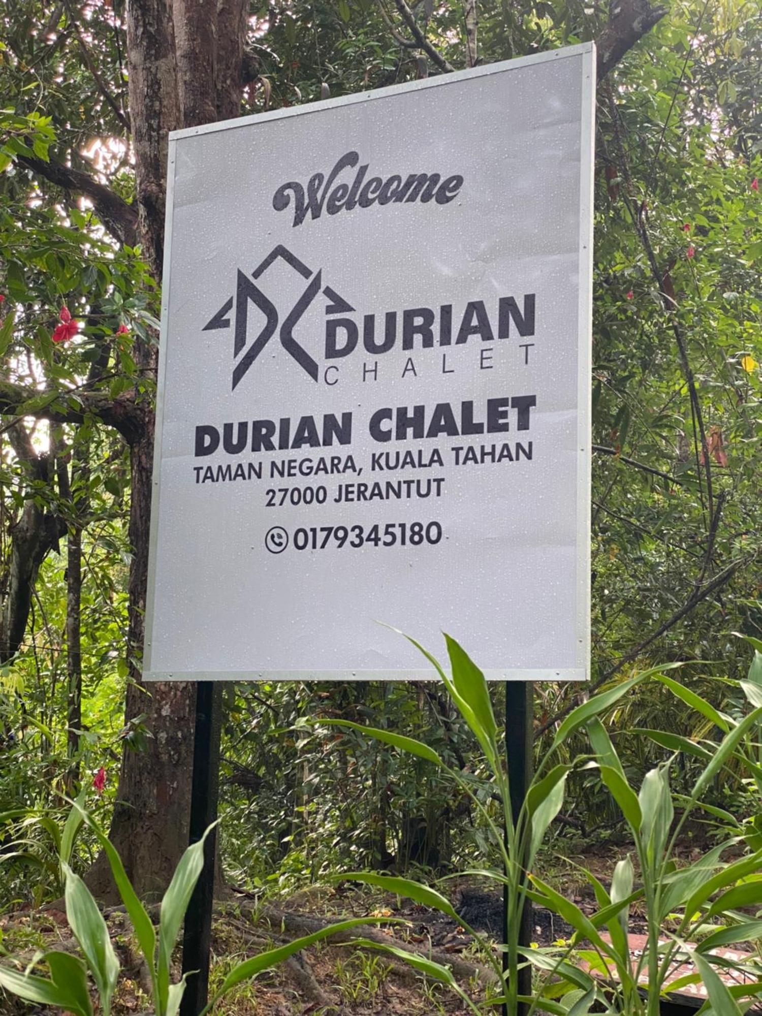 Durian Chalet Kuala Tahan Exterior photo